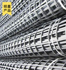 鋼塑復合土工格柵